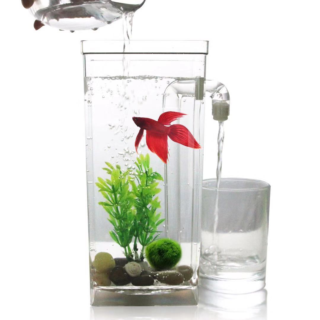 Aquarium Fish Betta - ขี้เกียจฟรีเปลี่ยน Desktop Fish Tank Mini Creative