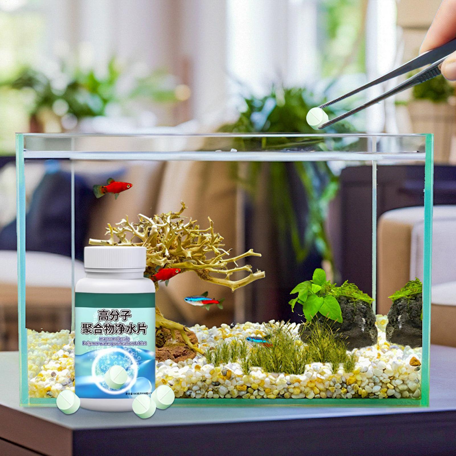 ยาเม็ดกำจัดตะไคร่น้ำในตู้ปลา ย - Fish Aquarium Home บทวิจารณ์และราคา