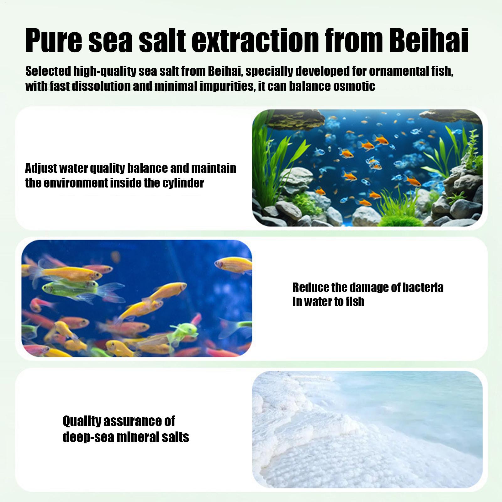 ยาเม็ดกำจัดตะไคร่น้ำในตู้ปลา ย - Fish Aquarium Home บทวิจารณ์และราคา