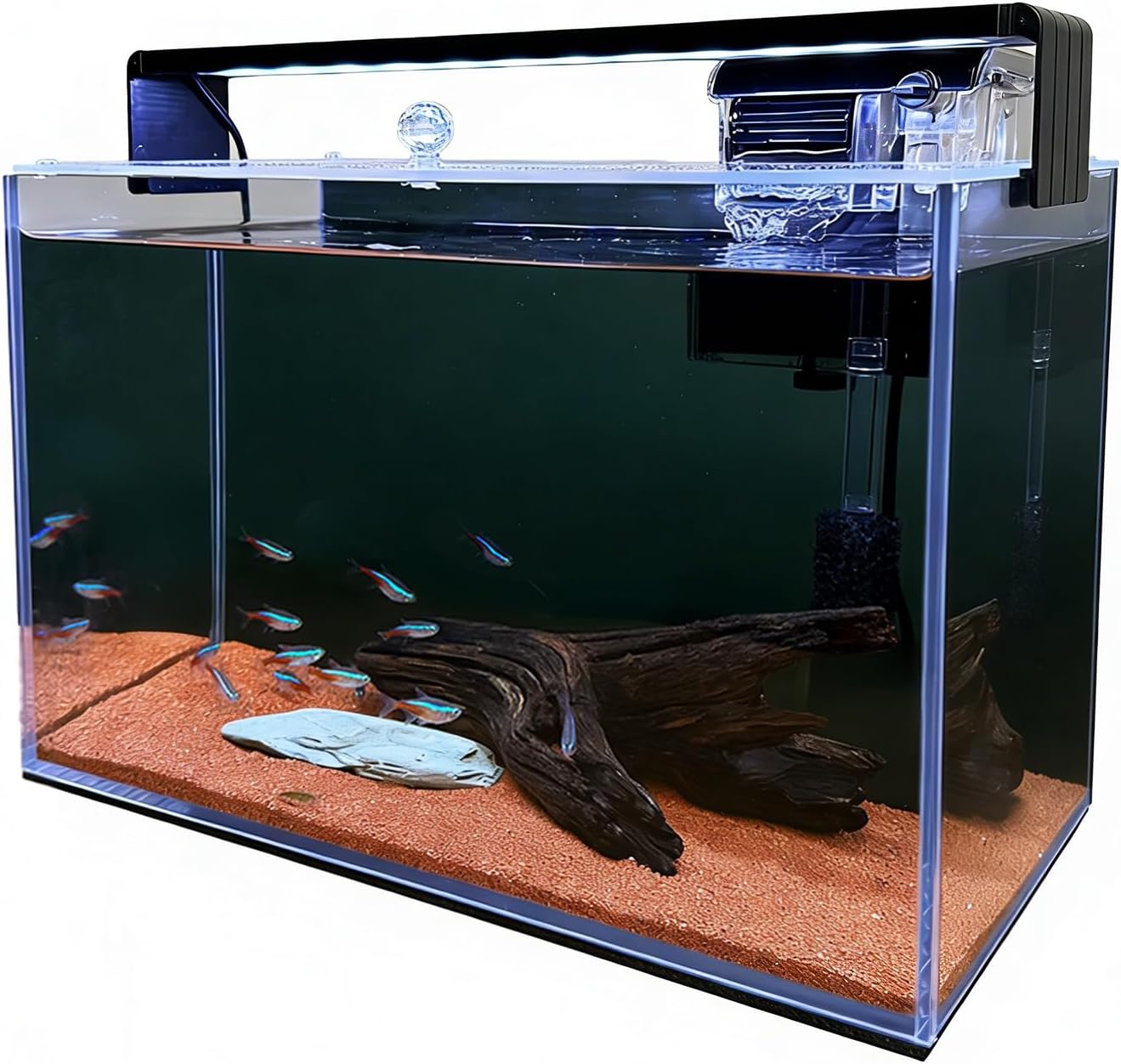 ชุดเริ่มต้นตู้ปลาขนาดเล็กแบบไร - Aquarium Fish Betta บทวิจารณ์และราคา