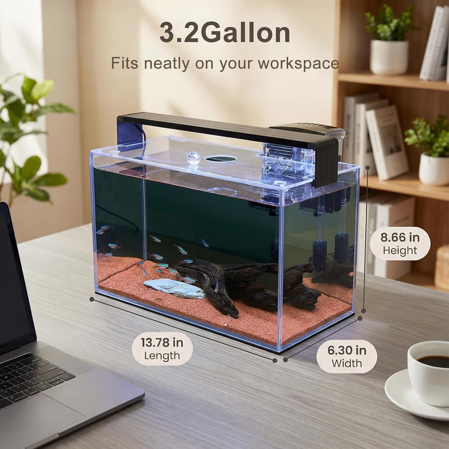 ชุดเริ่มต้นตู้ปลาขนาดเล็กแบบไร - Aquarium Fish Betta บทวิจารณ์และราคา