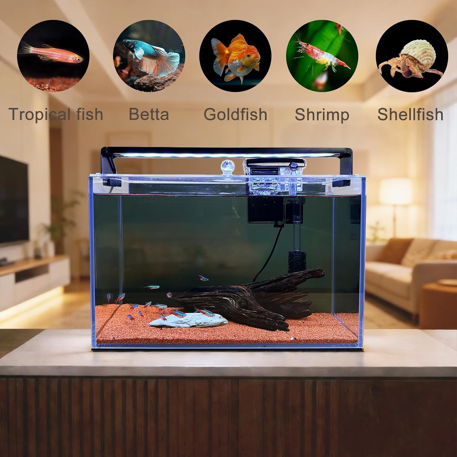 ชุดเริ่มต้นตู้ปลาขนาดเล็กแบบไร - Aquarium Fish Betta บทวิจารณ์และราคา