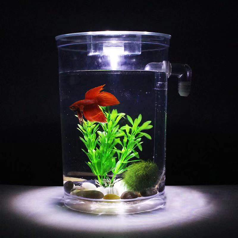 ขี้เกียจฟรีเปลี่ยน Desktop Fis - Aquarium Fish Betta บทวิจารณ์และราคา