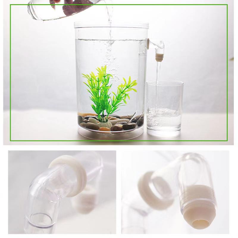 ขี้เกียจฟรีเปลี่ยน Desktop Fis - Aquarium Fish Betta บทวิจารณ์และราคา