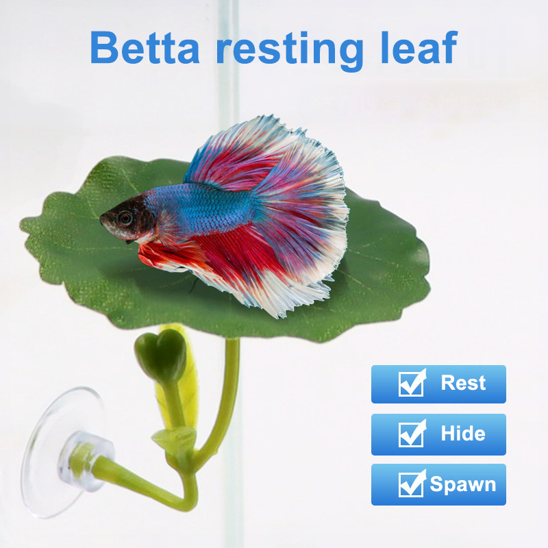 1 ชิ้น เปลญวนใบไม้สำหรับปลาเบต - Betta Fish Tank บทวิจารณ์และราคา