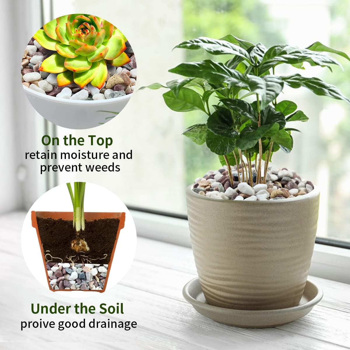 หินกรวดหลากสี สำหรับตกแต่งตู้ป - Fish Tank Gravel บทวิจารณ์และราคา