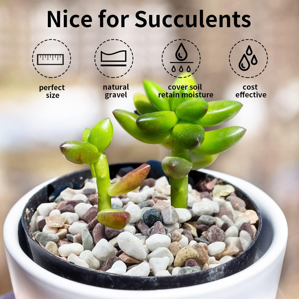 หินกรวดหลากสี สำหรับตกแต่งตู้ป - Fish Tank Gravel บทวิจารณ์และราคา