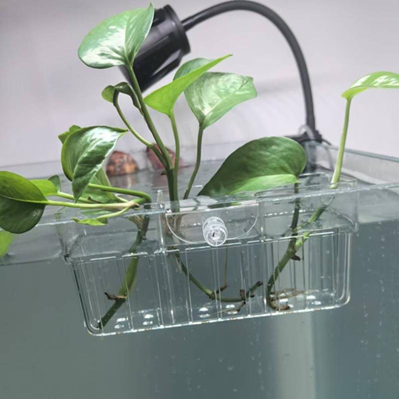 ตะกร้าปลูกพืชไฮโดรโพนิก เกรดอา - Fish Aquarium Home บทวิจารณ์และราคา
