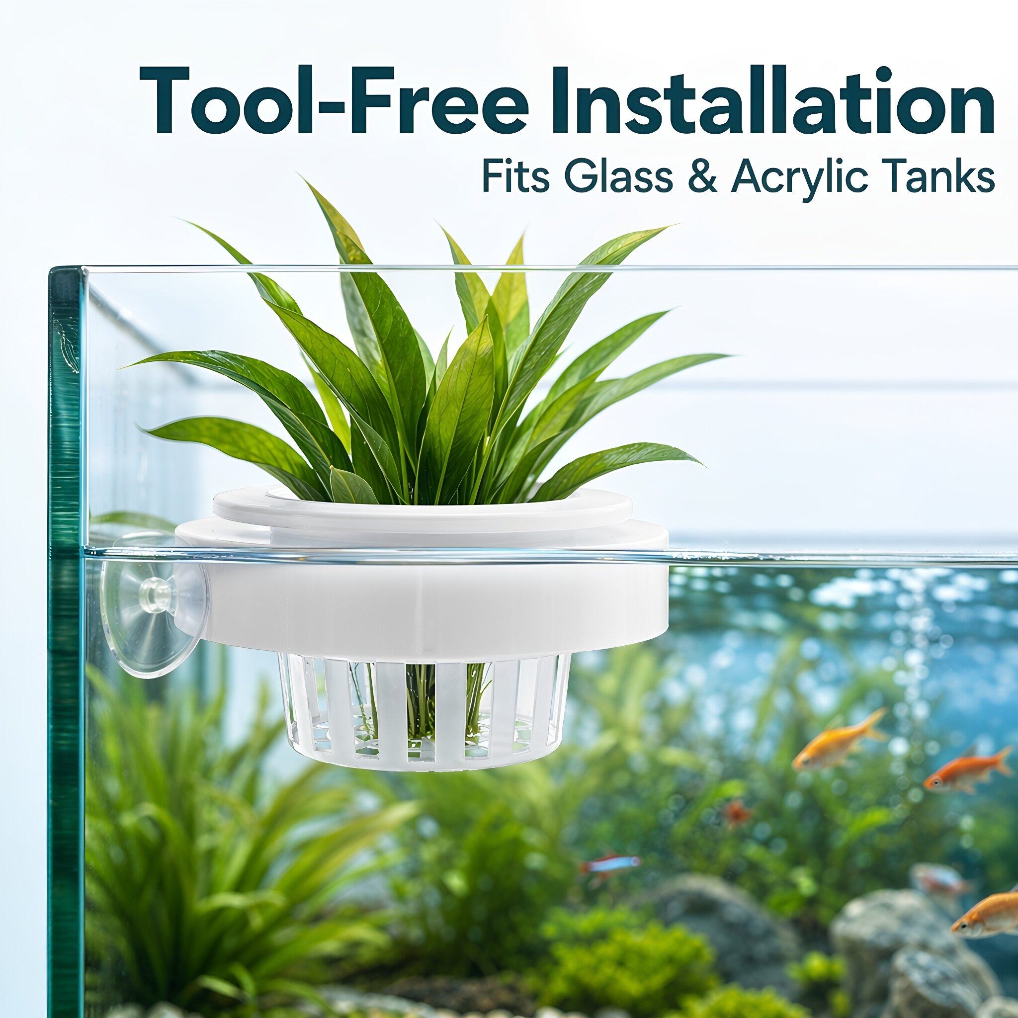 4 ชิ้น ตะกร้าปลูกพืชน้ำลอยน้ำ  - Aquarium Plants บทวิจารณ์และราคา