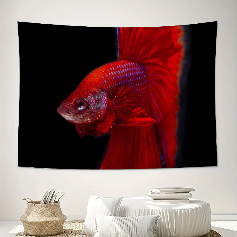 ปลาเบตต้าสีแดงสดใส พรมแขวนผนัง - Fish Aquarium Home บทวิจารณ์และราคา