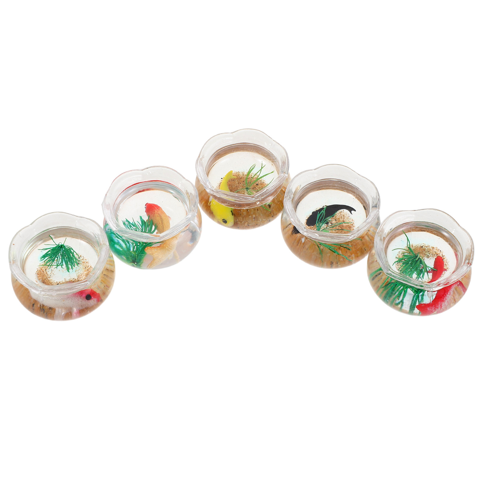 ชุดตู้ปลาคาร์ปจิ๋ว 5 ชิ้น – ตู - Aquarium Plants บทวิจารณ์และราคา