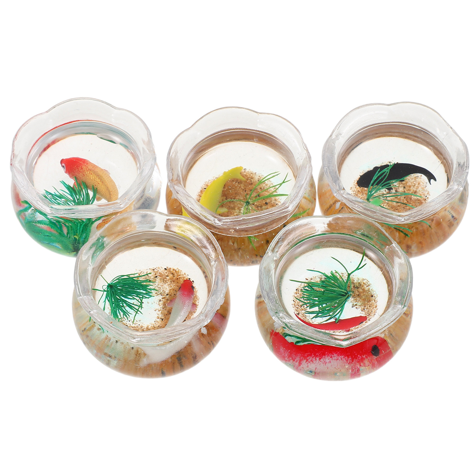 ชุดตู้ปลาคาร์ปจิ๋ว 5 ชิ้น – ตู - Aquarium Plants บทวิจารณ์และราคา
