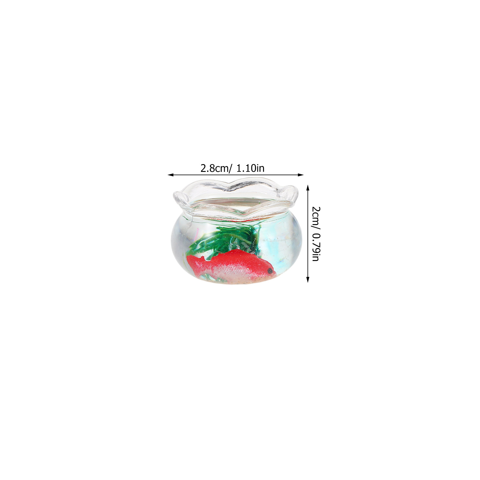 ชุดตู้ปลาคาร์ปจิ๋ว 5 ชิ้น – ตู - Aquarium Plants บทวิจารณ์และราคา